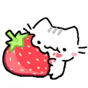 stroberycat