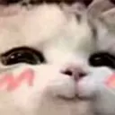 cutestare