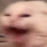 Rage2