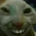 emote_cat_sarcastic_laugh emote_cat_sarcastic_laugh