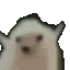 wahoo wahoo