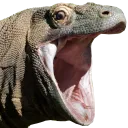 megapog