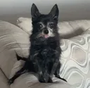 straddle