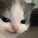 smolevil