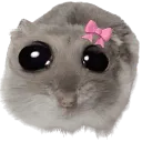 emoji_101