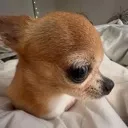 sideeye2