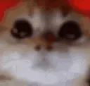 RAGEY