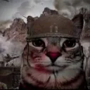 cat_bruh