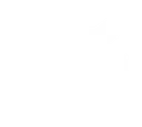 Rifle