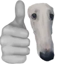 thumbsupdog