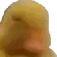 SMHing