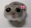 imjustagirl custom emote - The Litter Box