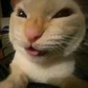 naur custom emote - The Litter Box