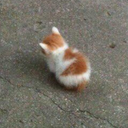 angy Discord Emoji - The Litter Box