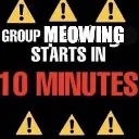Groupmeowing