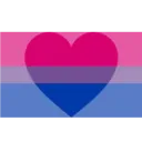 FB_Biromntic_Pride_Flag