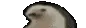Rs_winix