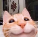 _sinsSmileyCat _sinsSmileyCat