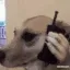 phonecall