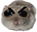 zHamsterAngry Discord emoji