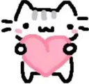 catlove