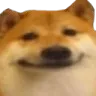 doge_eh