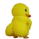 duckass