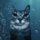 coldzazu