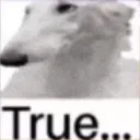 borzoitrue