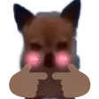 nyanni3RagnarShy nyanni3RagnarShy