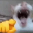 cat_point cat_point