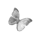 010_greybutterfly Discord emoji