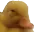 notsmh