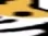 catstare1