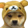 nodoge