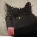 tongue_cat