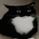emoji_5 emoji_5