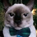 Fino_seniores custom emote from Roblox LatinoAmerica⭐