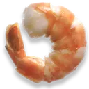 shrimp