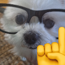 f_Acutally custom emote from ☽・𝙇𝙪𝙣𝙖𝙧 𝙇𝙤𝙪𝙣𝙜𝙚・☽ 𝘈𝘯𝘪𝘮𝘦 ✦ 𝘔𝘶𝘴𝘪𝘤 ✦ 𝘊𝘩𝘢𝘵