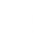 q_