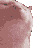 memes_cat_dancing_hype