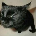 hmm