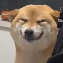 hornyokuma