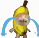 bananacatcrying