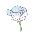 27243flowerwhitepink