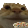 Cat_Eating