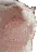 :catjam: