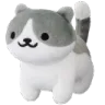 chillcat