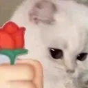 84f2b4c2820ae5c73f26d5eb51349a28